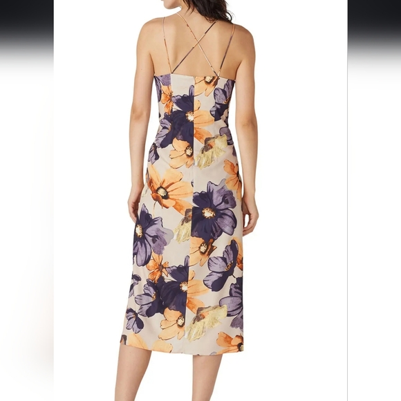 OPT. Damiana Dress - Picture 4 of 7